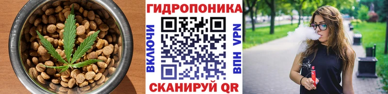 Canna-Cookies марихуана  Соль-Илецк 