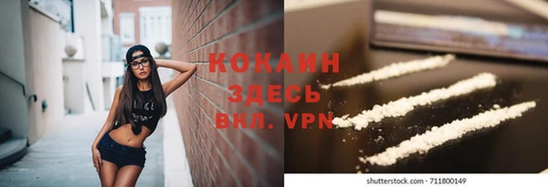 спайс Арсеньев